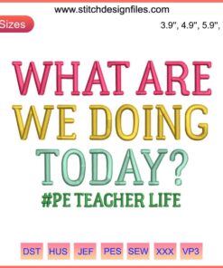PE Teacher Embroidery Design, "What Are We Doing Today?" | Fun Teacher Theme Embroidery File, Colorful Text, Digital Download